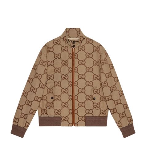 gucci jacket price in pakistan